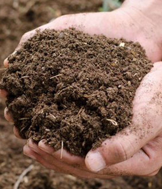 Organic Manure