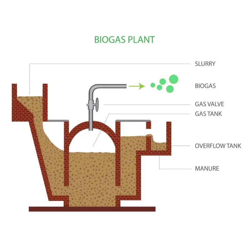 Compressed Bio Gas